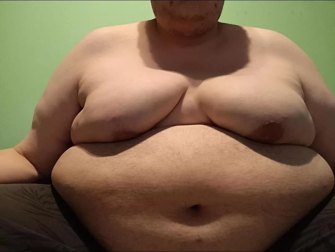 I'm new here so pls be gentle ♥️ posted by Chubbyerino