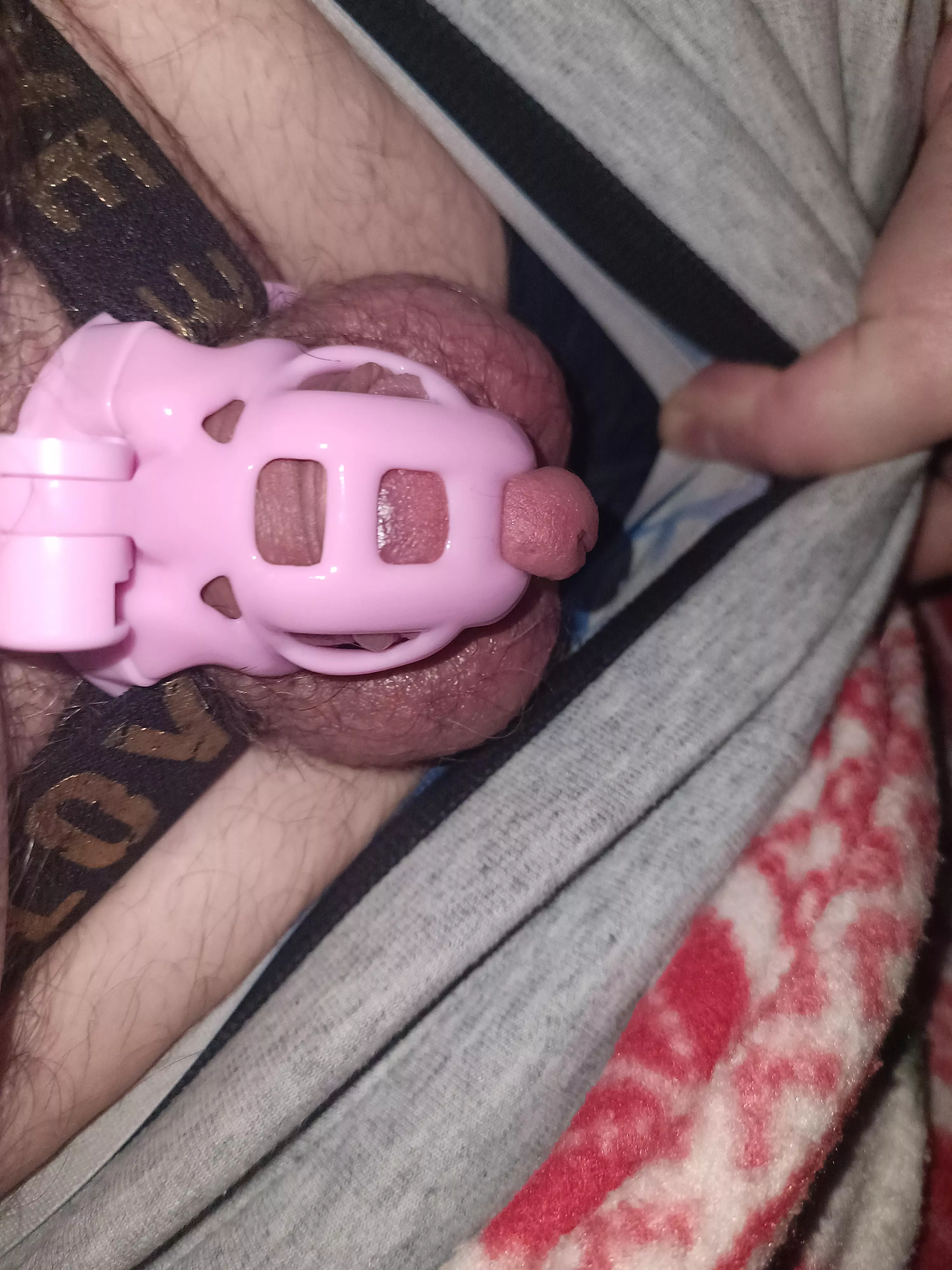 Is my cage not the right size? posted by Bomberbob93