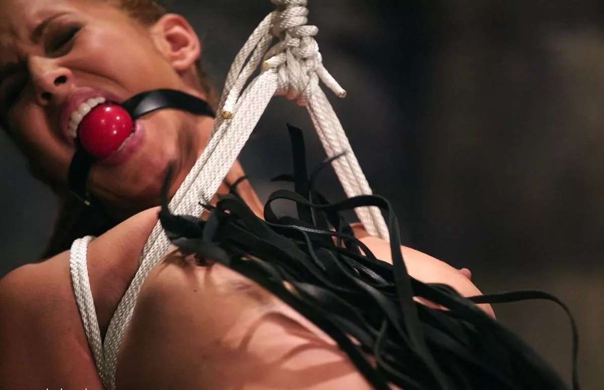 Isis takes a flogging posted by jgoja