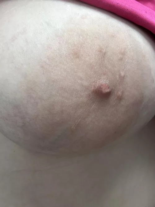 Look how pretty by Large_Badger8317