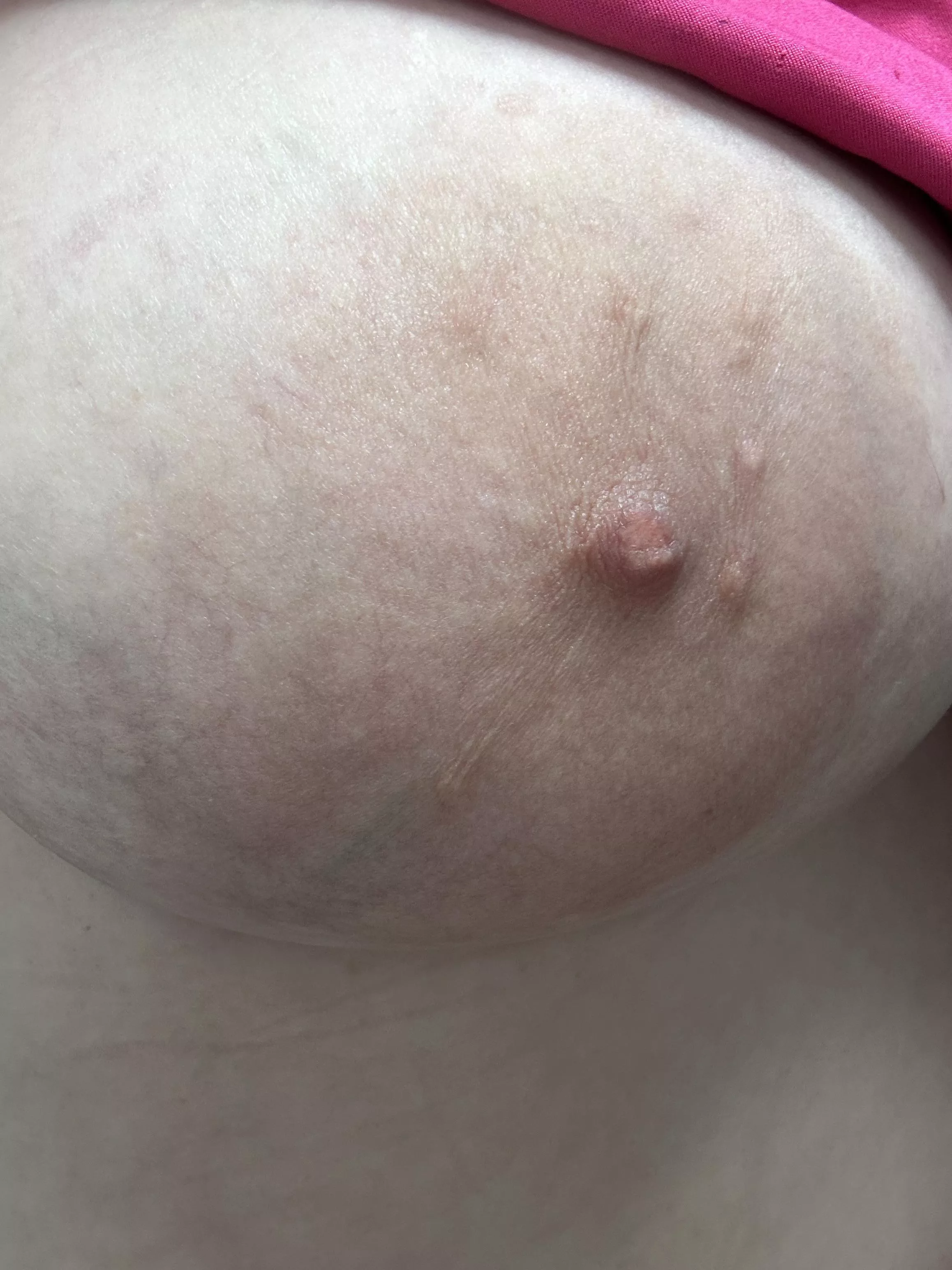 Look how pretty posted by Large_Badger8317