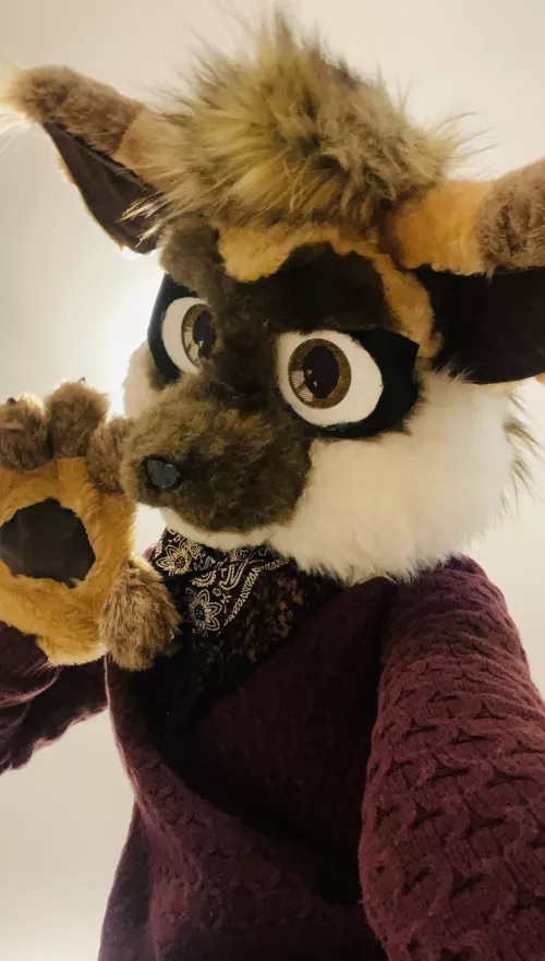 Looks like someone is late for Fursuit Friday! by BandannaKitsune