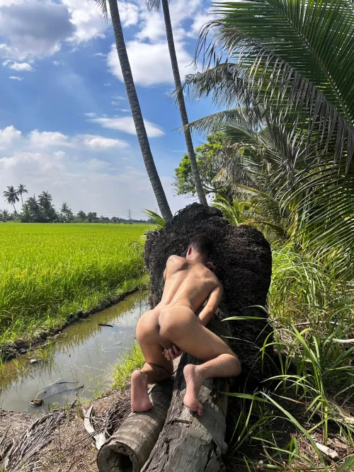 Love nature by Toye13