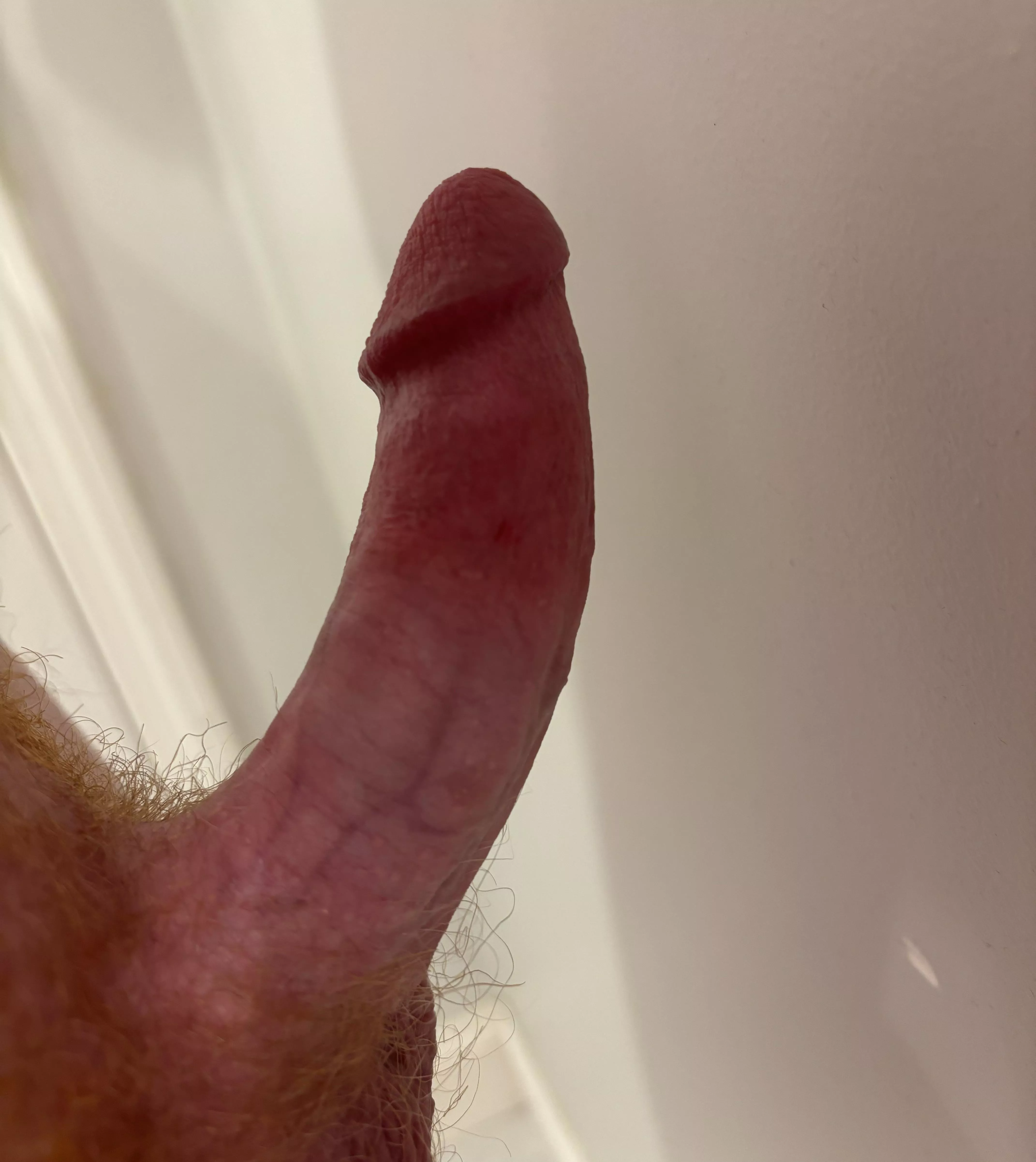 Morning Birthday cock posted by JamesCa_