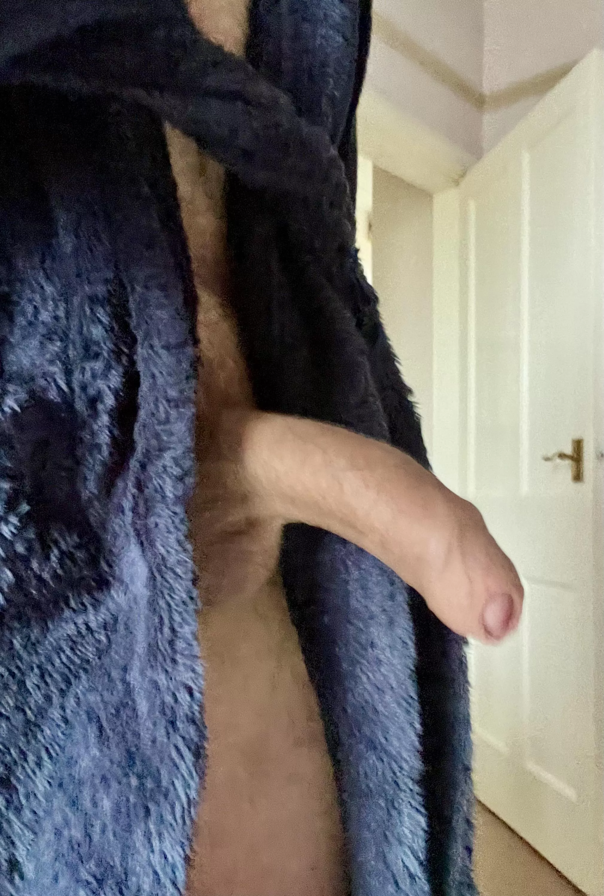 Nuts! Tesco delivery due in a few minutes. Think I can hide it? posted by WoodpeckerOne2307