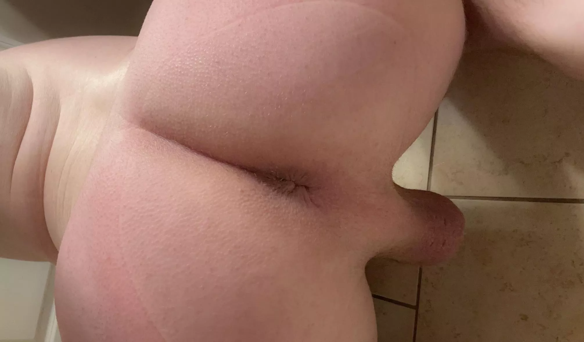 On all fours posted by 2000lumens