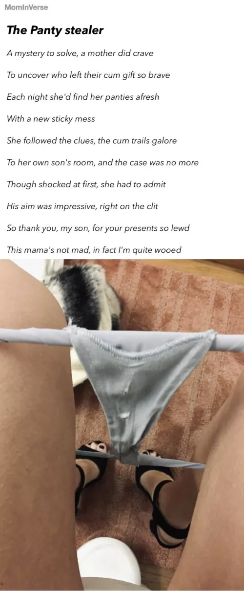 [POEM] The Panty stealer by mominverse