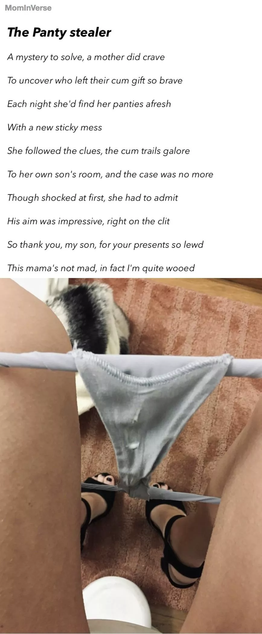[POEM] The Panty stealer posted by mominverse