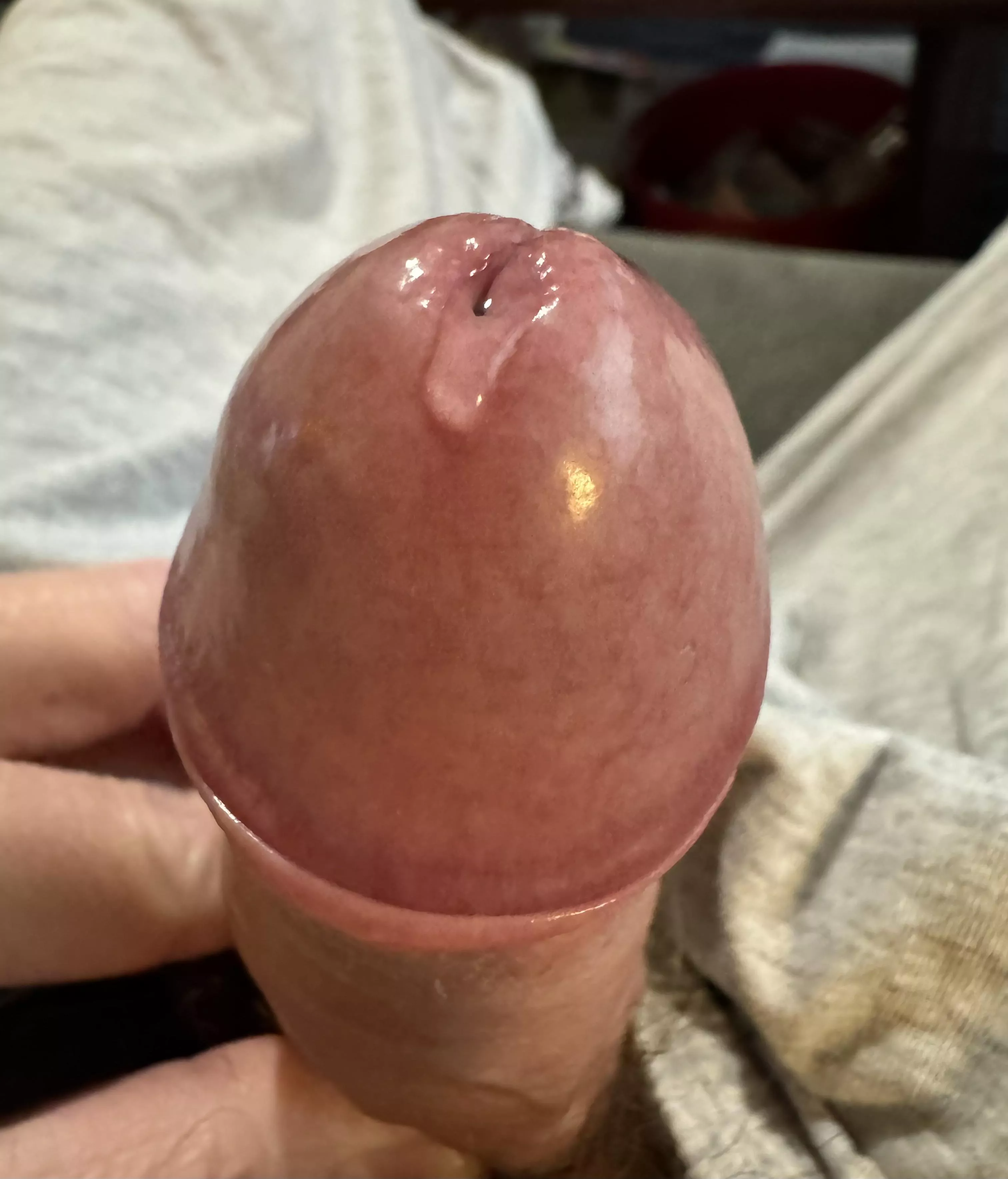 Posted some pics and now dripping posted by morecbt