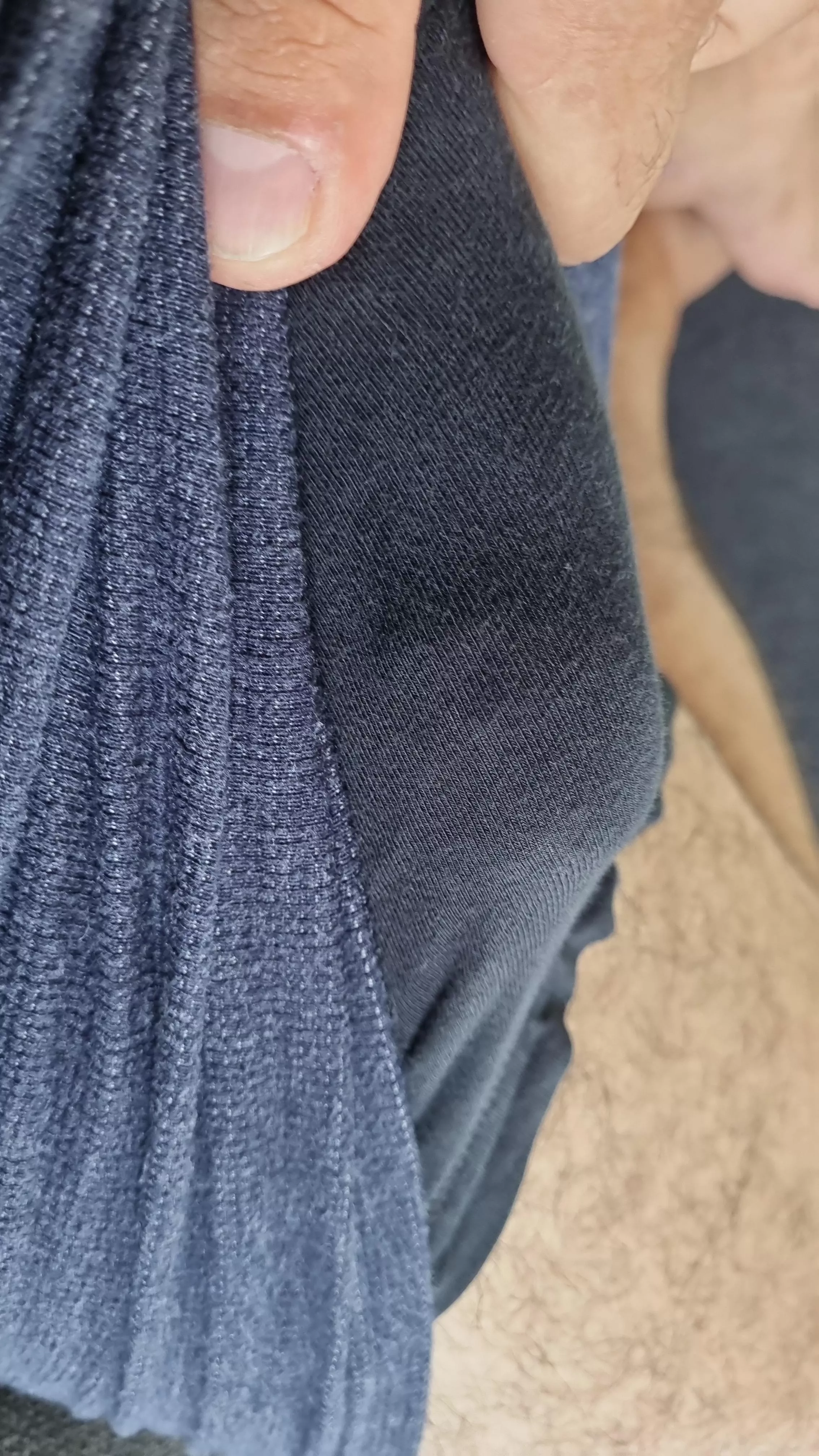 Sunday afternoon lounging ✔️ posted by TheAussieguy101