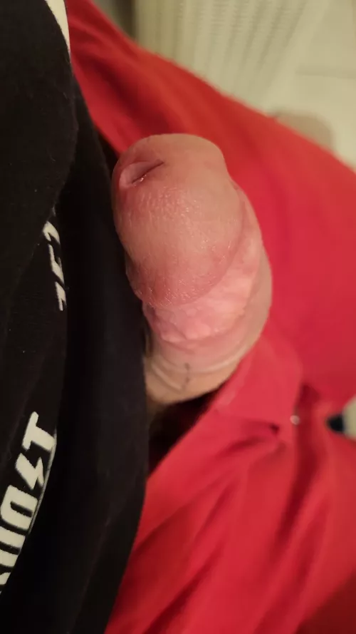 The pearl. by MaxQ759