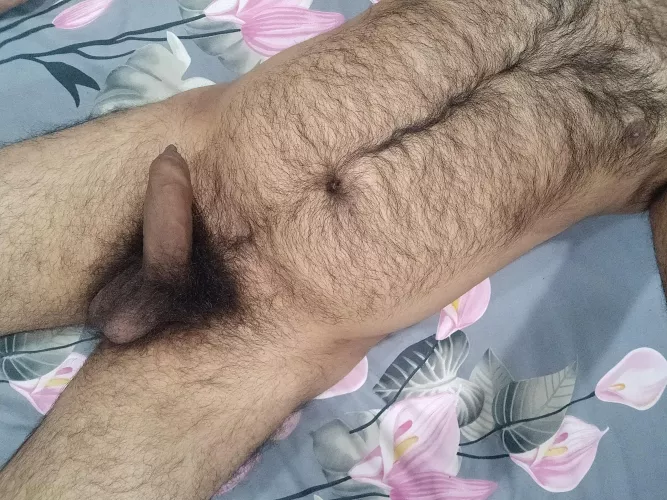 Thoughts ? by Indian_hairy