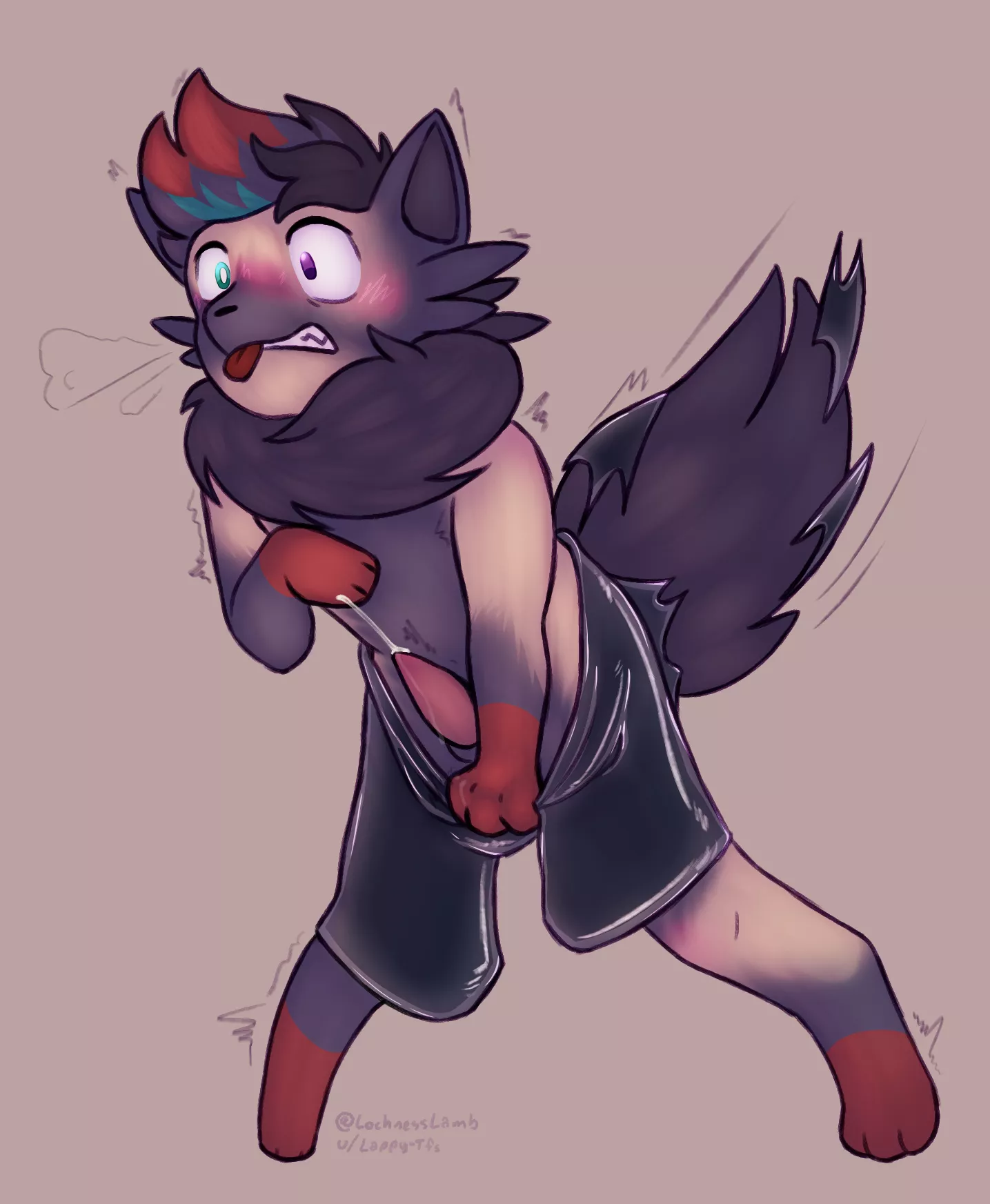 Zorua TF (M->M Pokemon) posted by Lappy_Tfs