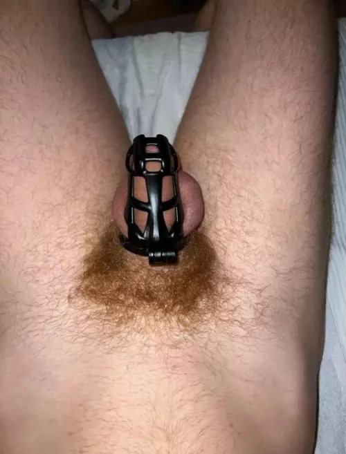 1st time having my cock locked by bf by woodssssssss