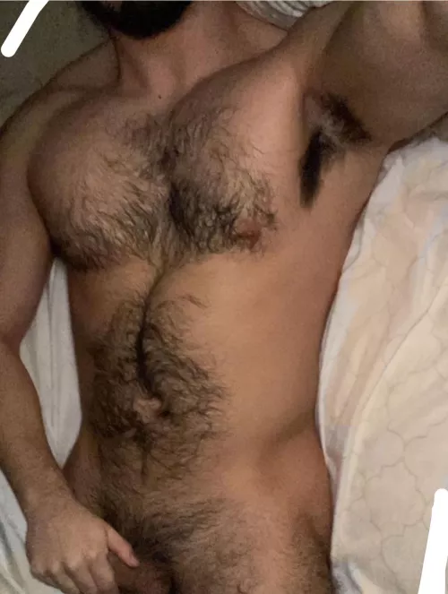 25, straight curious rugby player. Beefy and hairy, need a boy to show off his ass and hole for me. Underwear++ ADD: xxsustherxo by xxsuemurfxo