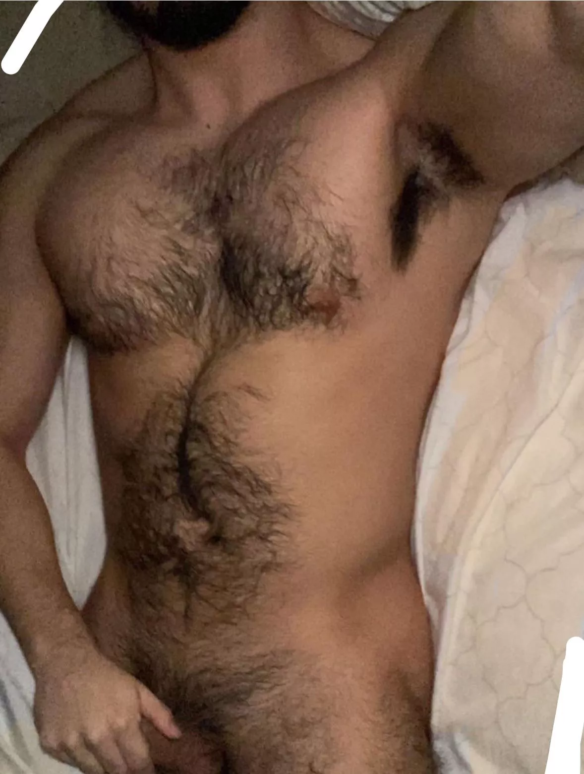25, straight curious rugby player. Beefy and hairy, need a boy to show off his ass and hole for me. Underwear++ ADD: xxsustherxo posted by xxsuemurfxo