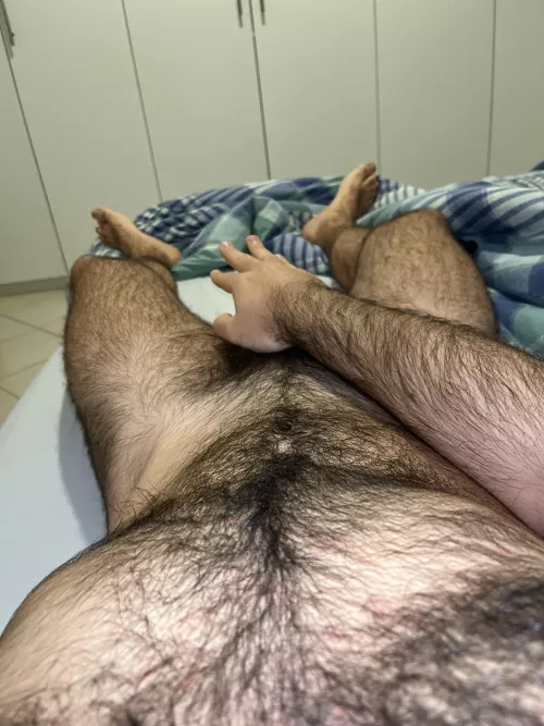 26 hairy just came back from the gym horny af. Younger is better but everyone is welcome. aberrouge5 by filrouge23m