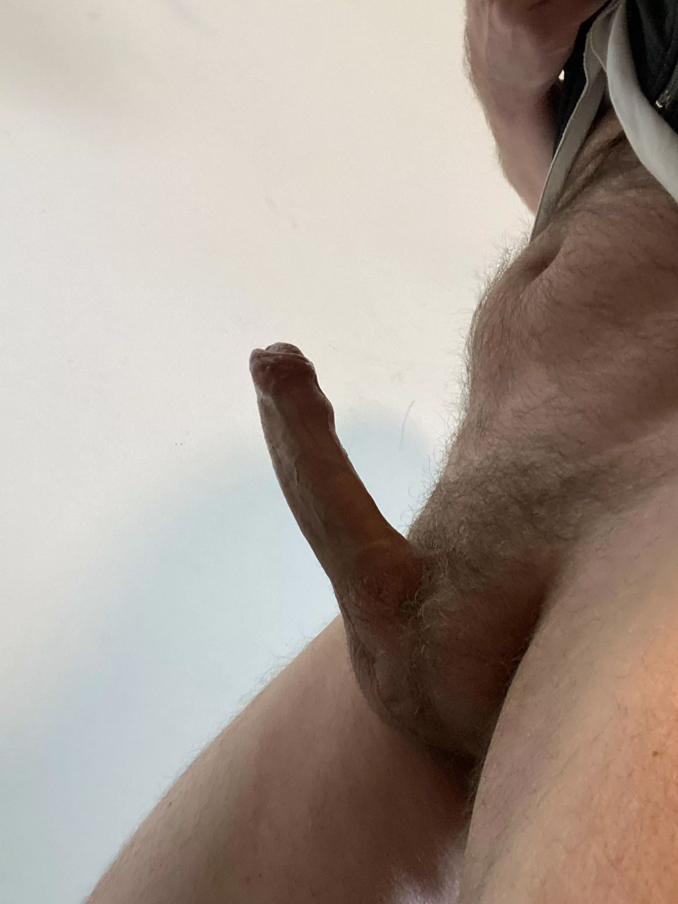 [51] You get to see what usually hides in my pants… posted by Ok-Principle-3135