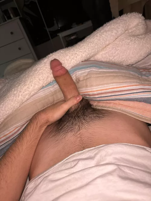 Any white bros with dogs on? Hmu 18 yo by Dull_Knowledge_9424