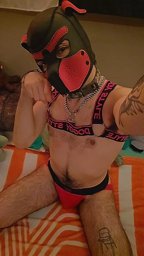 Awrruff! by _PuppyWhiskey_