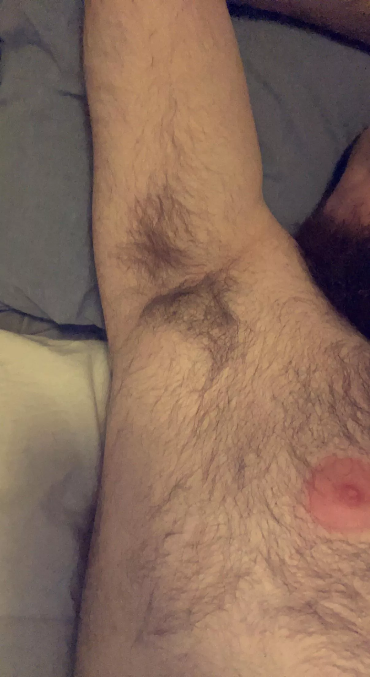 Bear musk posted by scotpuphandler