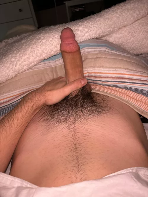 bouta have fun with my 🐈 18 yo by Dull_Knowledge_9424