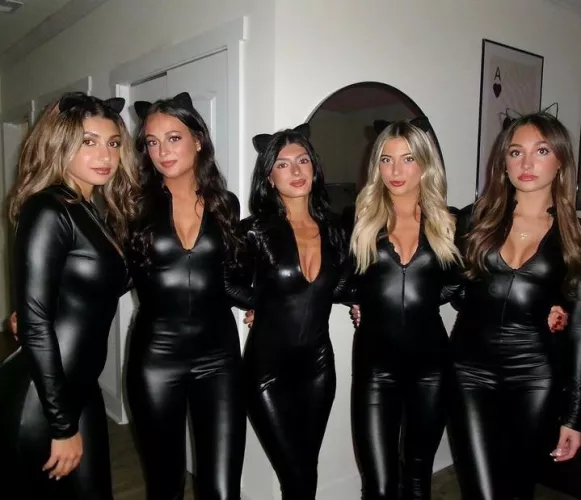 Cat Girls 🖤🐱 by Mox_Castagnoli