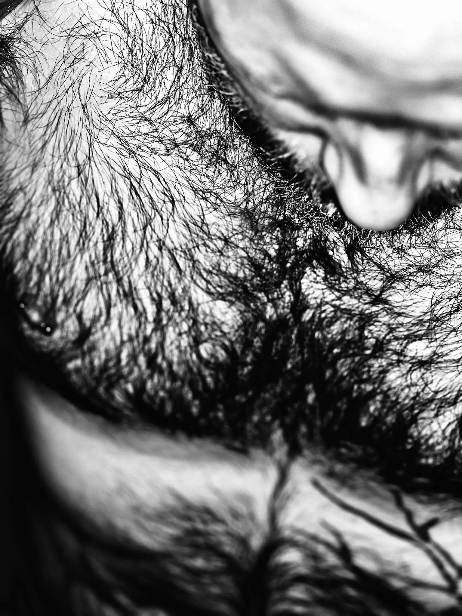 Chest Hair posted by FurryNudist77
