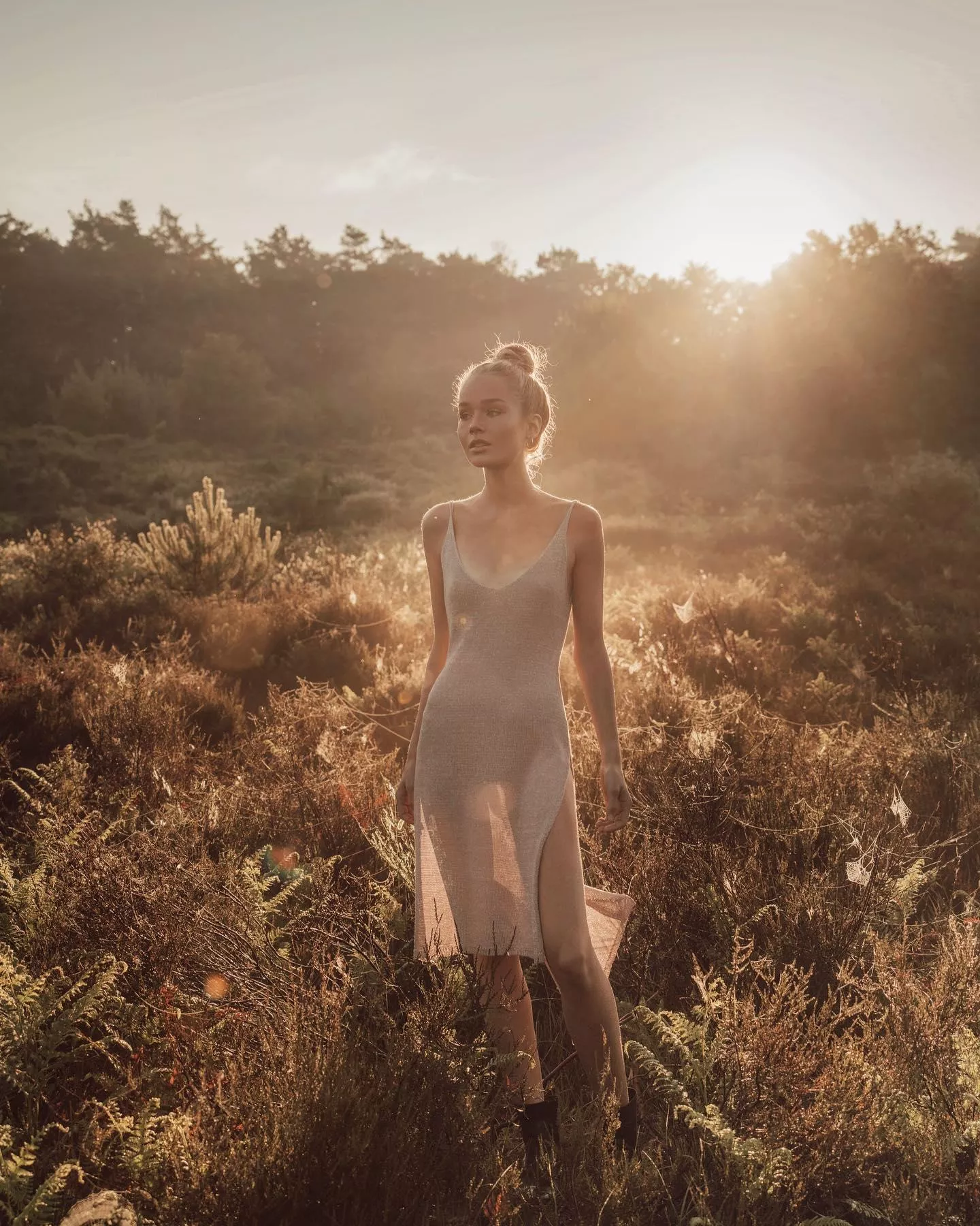 Cosmia posted by HeHe_AKWARD_HeHe