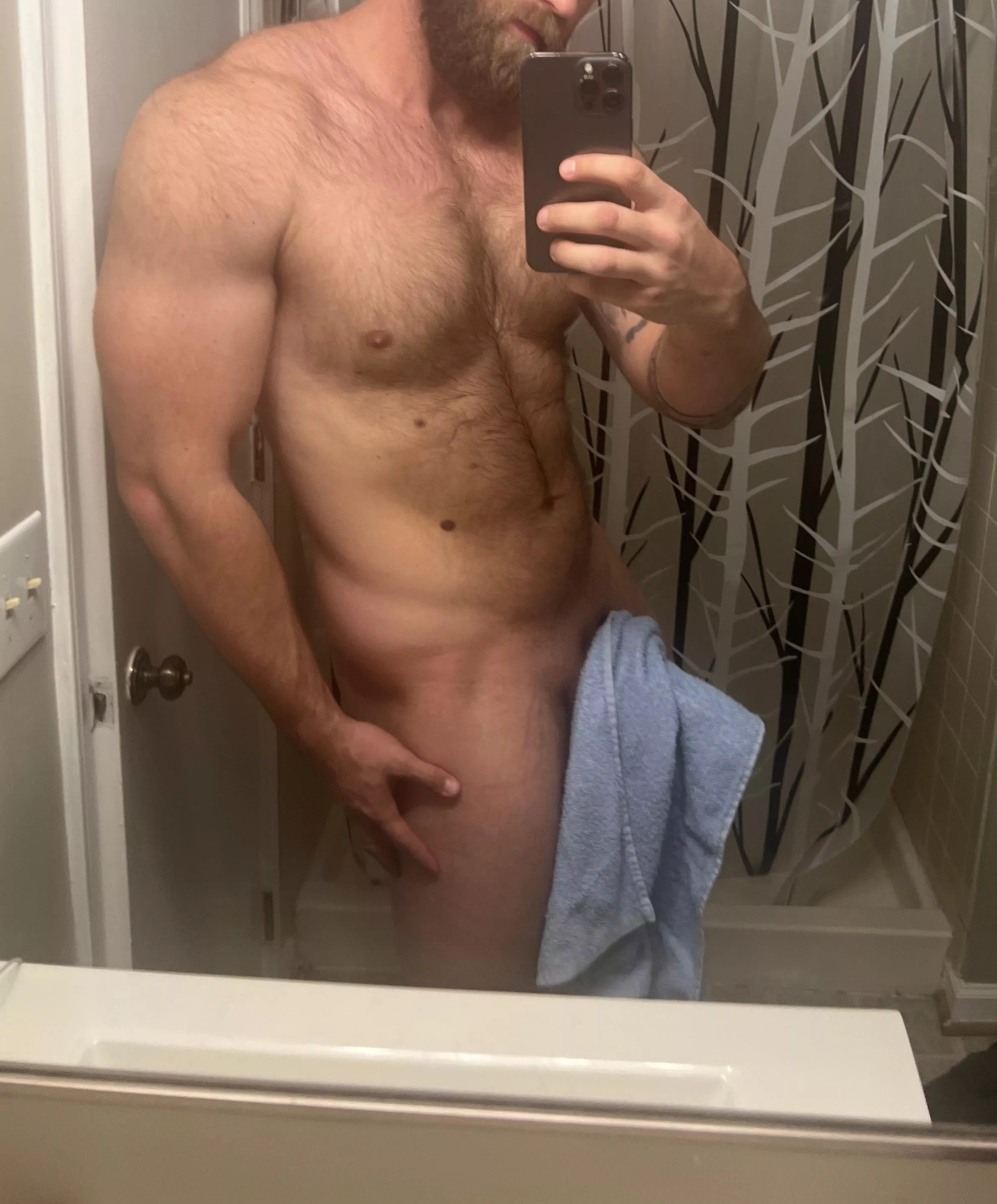 Could anyone use a towel? posted by AdhesivenessFormer39