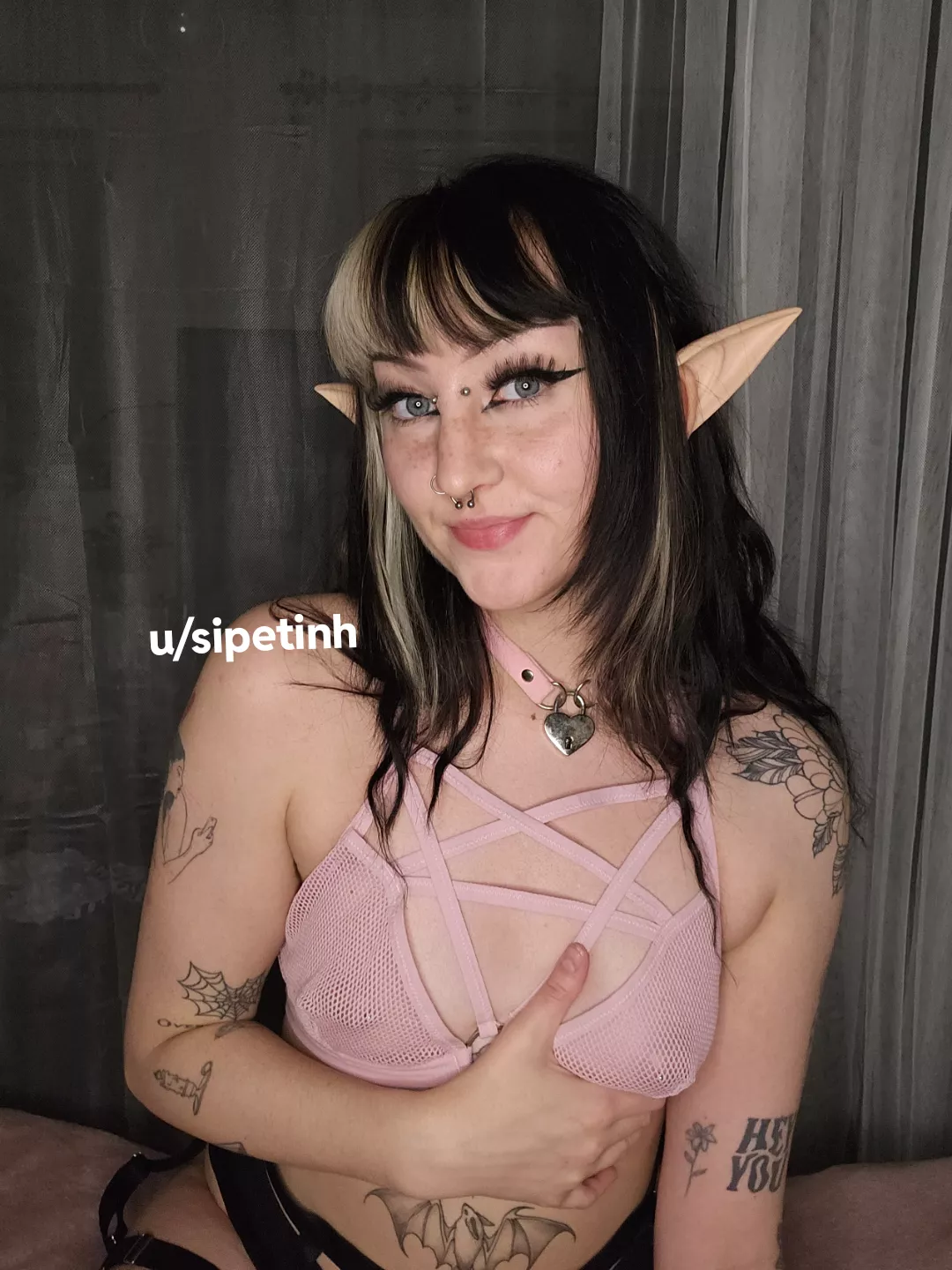 Cute ears, pretty face and a hairy pus— posted by sipetinh