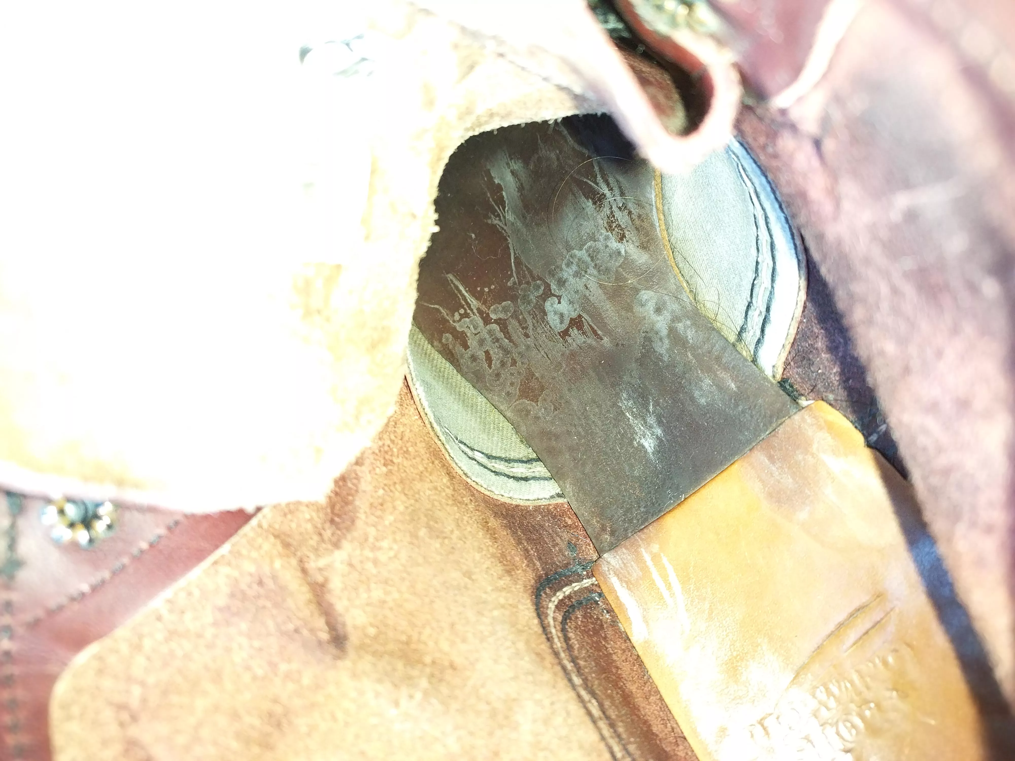 Damage to Iron Rangers posted by TheSpicyPete