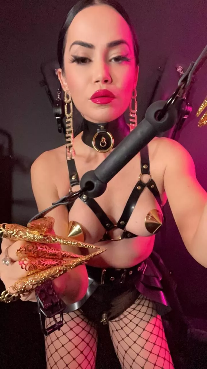 Embrace the intensity of controlled surrender in the hands of a professional. posted by gnjecavogzq