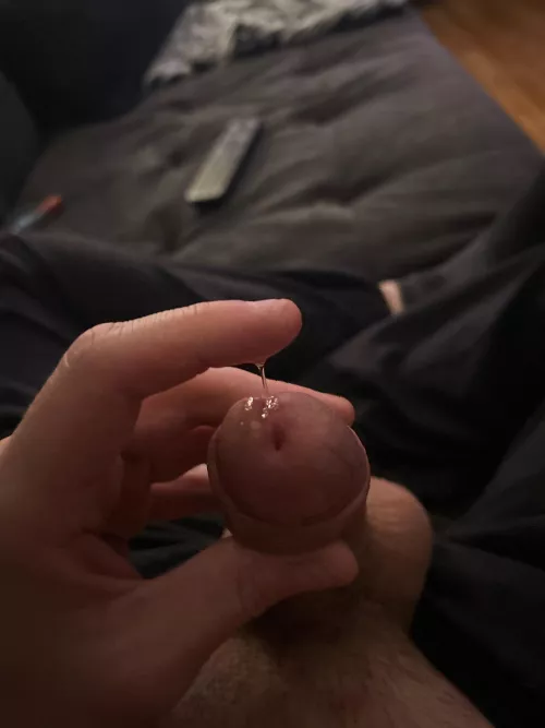 First post here. Am I doing it right?? by ResistSweaty5302