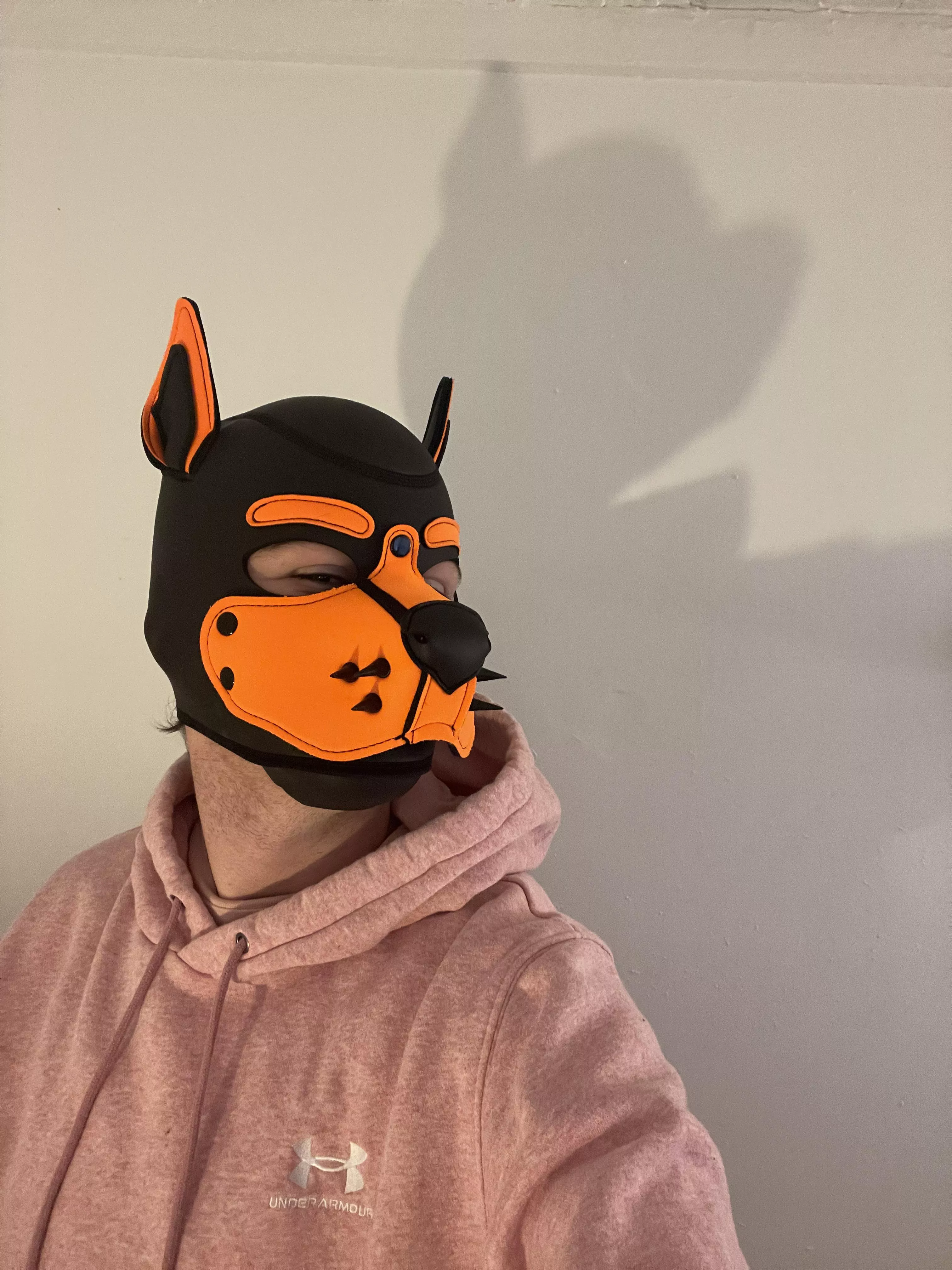 Happy Monday everyone! Shoutout to my lamp for this incredible picture haha posted by PupAjaxTheGreat