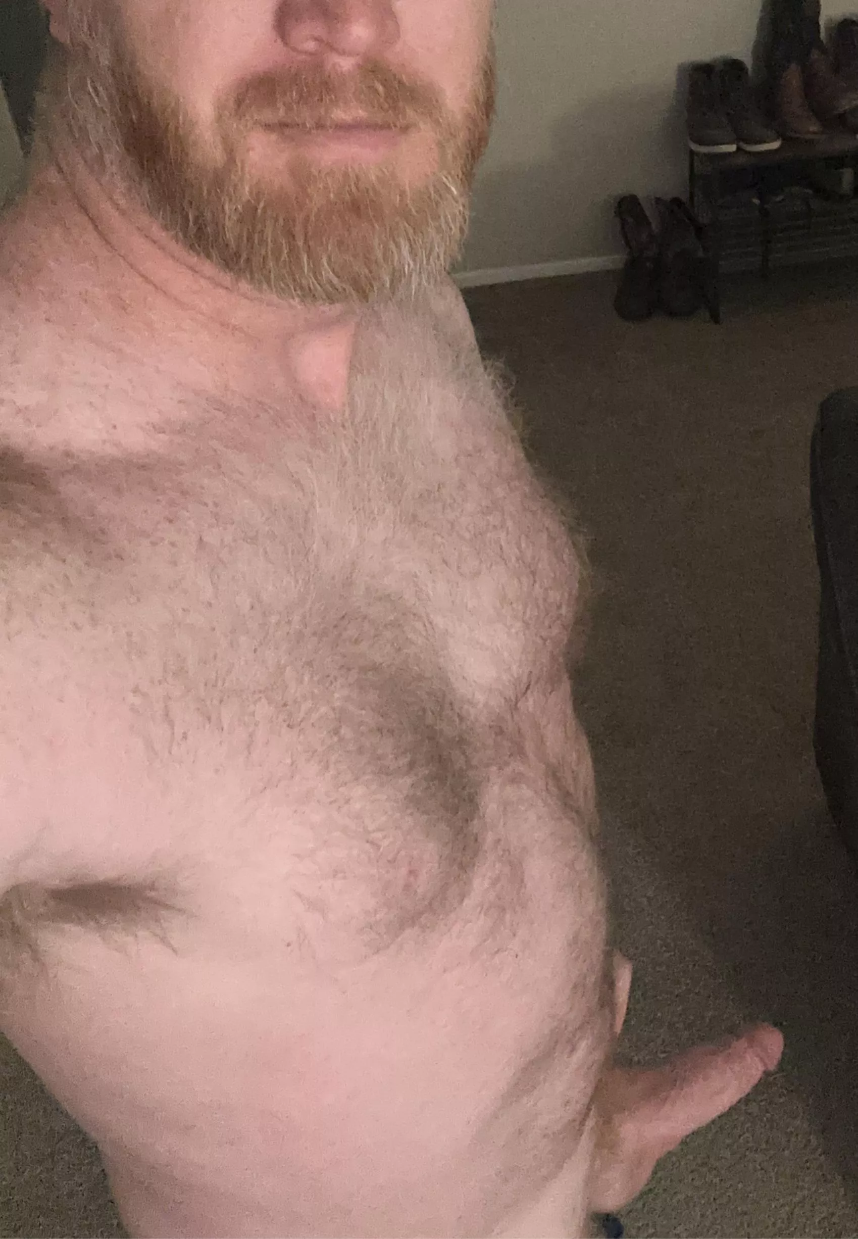 Happy Monday! I could really use a lick! posted by bearfedging