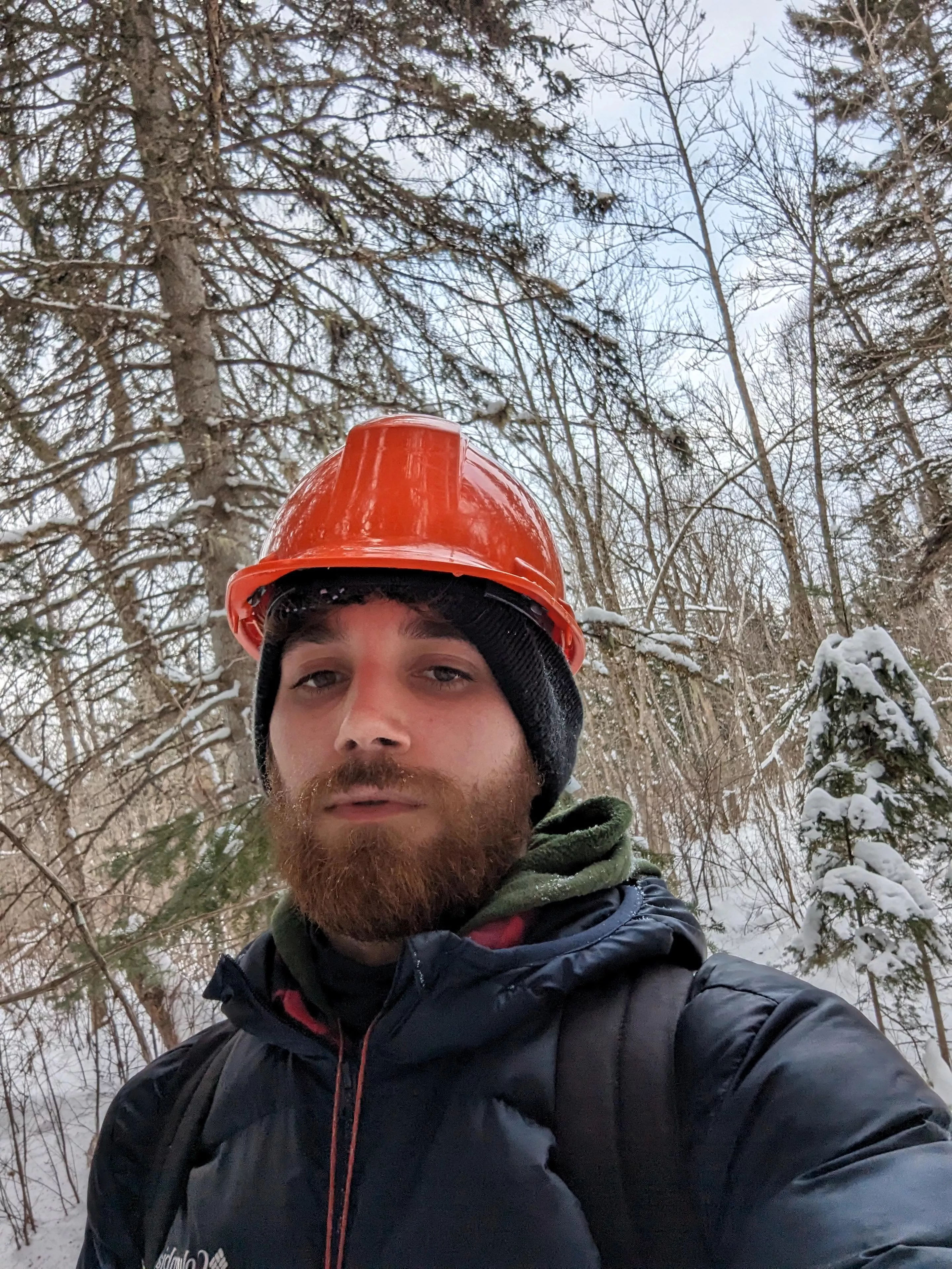 Heya ! Looking for gaming buddies (NA) posted by torran1