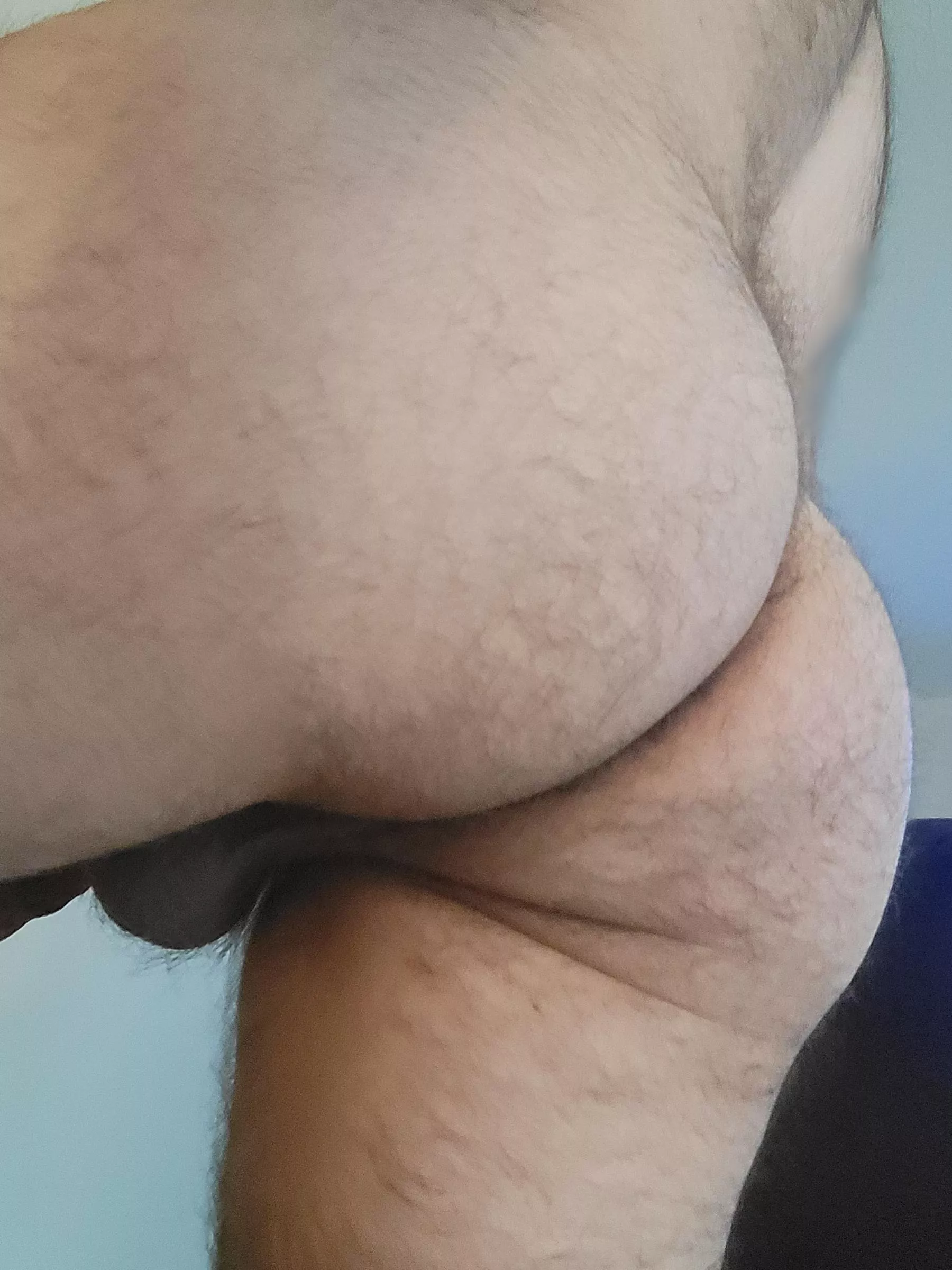 How's the view? posted by FurryDILFDaddy