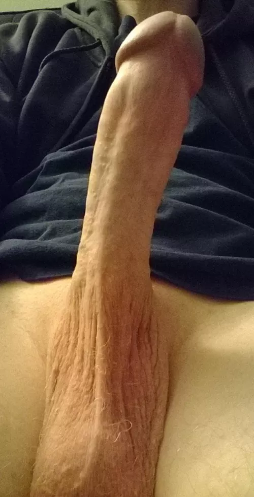 Husband's dick by Illustrious_Boss_811