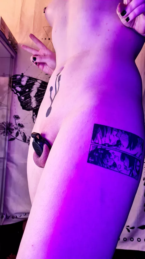 I finally got a flat cage! by cericyber