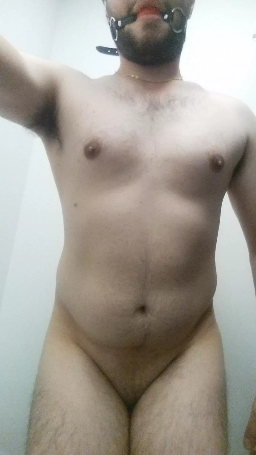 I will get a gag that matches my cage posted by xaviermusthave