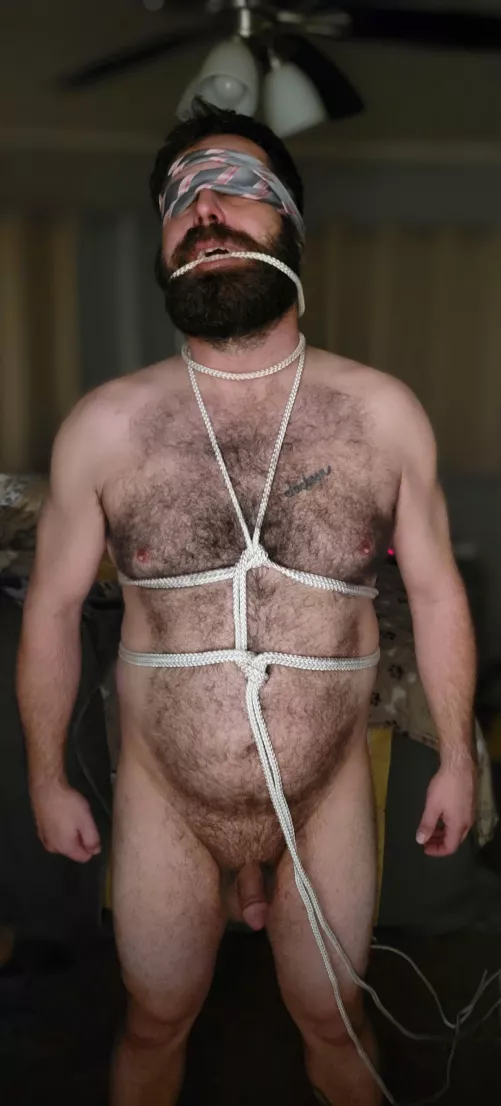 Just getting started with his tie down but this pic made me giggle. by Ssssaveme