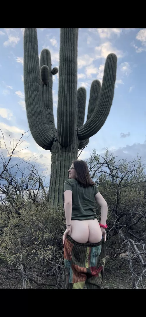 Let’s hide behind this 🌵 by Dramatic_Bug9785