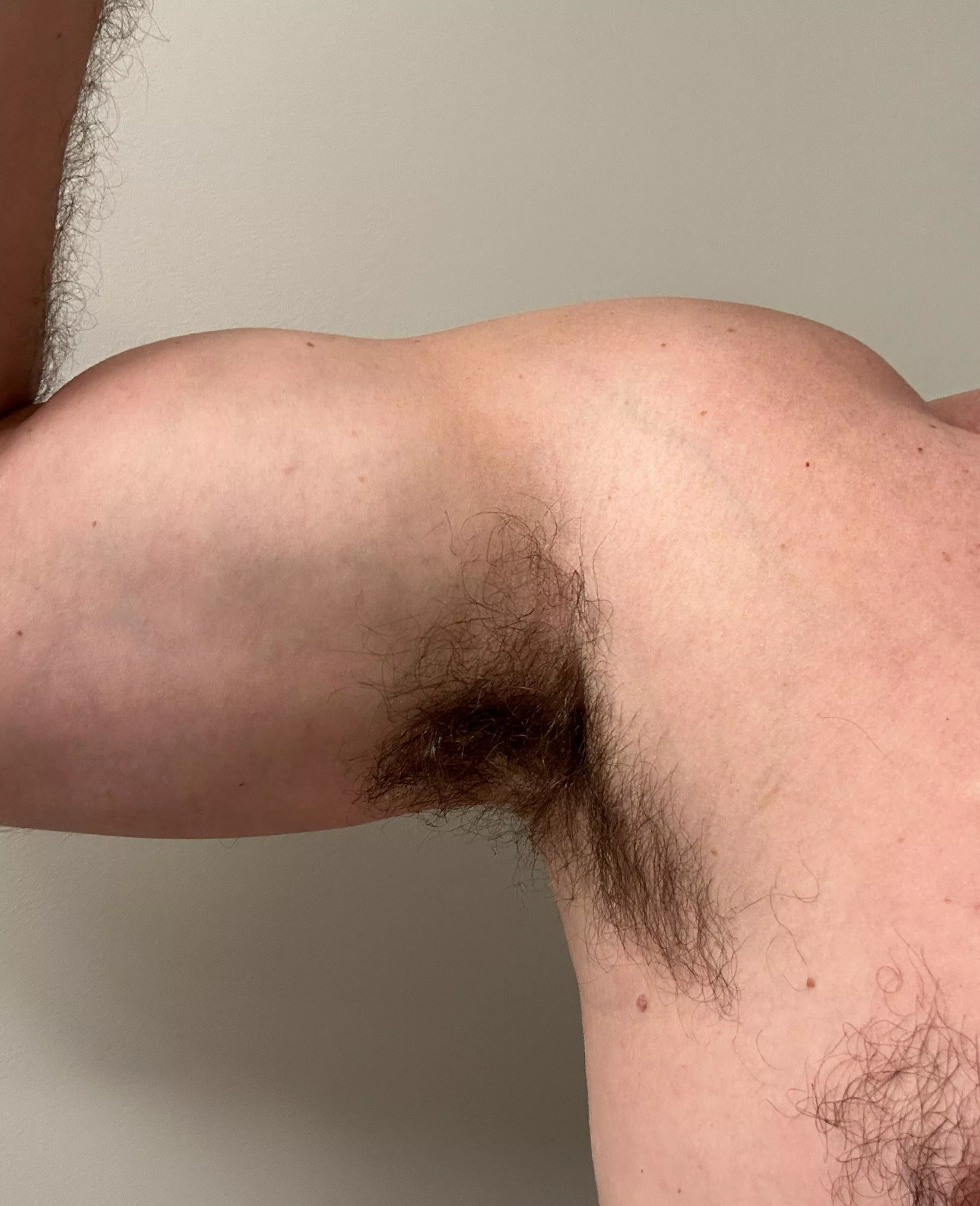 My buddy sniffed these this morning… posted by mtnbiker87