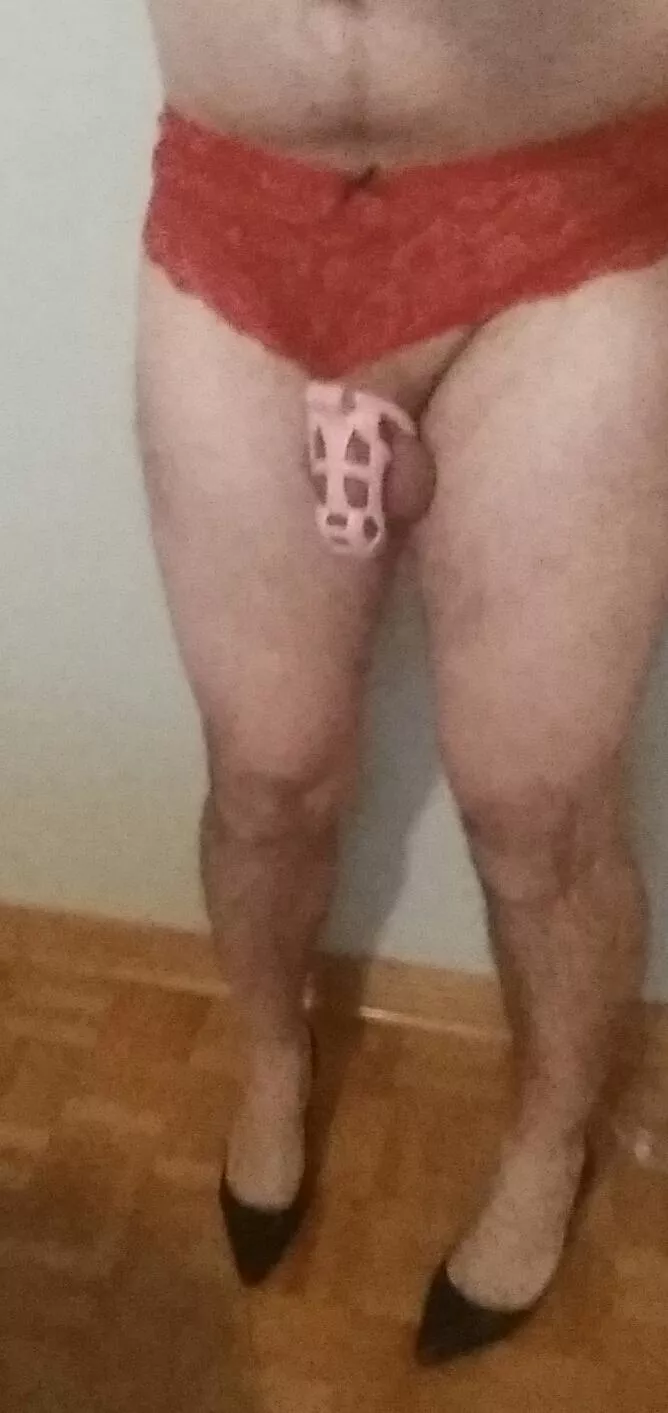 My family and friends would never guess I'm like this-ordered an even smaller cage! posted by xaviermusthave