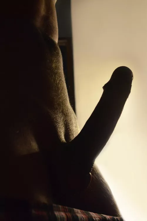 no need for any serious text here by willgrahamthird