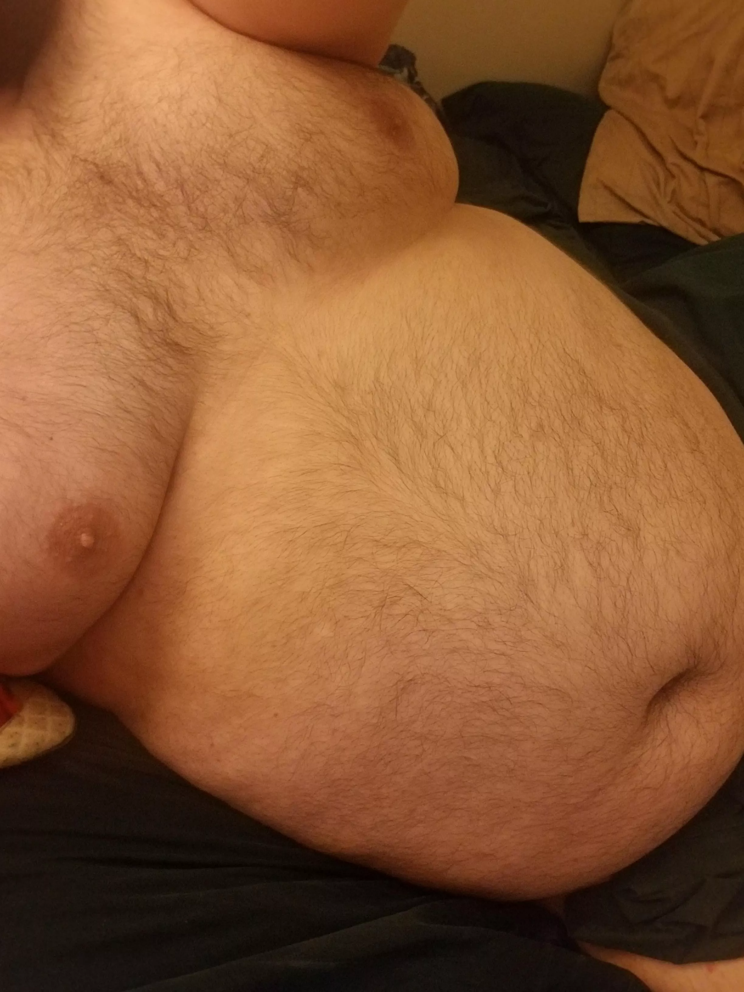 Pup's got a day off, and gets to relax in a bed a little longer. posted by Link_the_Wolf