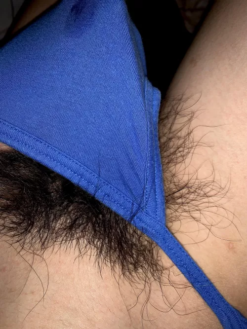 Seeing my pubes out of my briefs makes me wet 🥵 by HairyWildBush