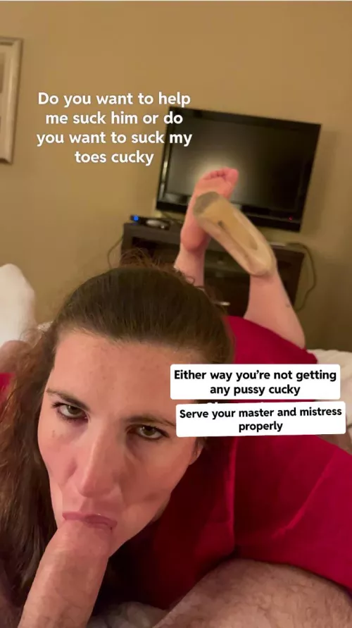 Serve your master and mistress like a good boi by mistressbrazda