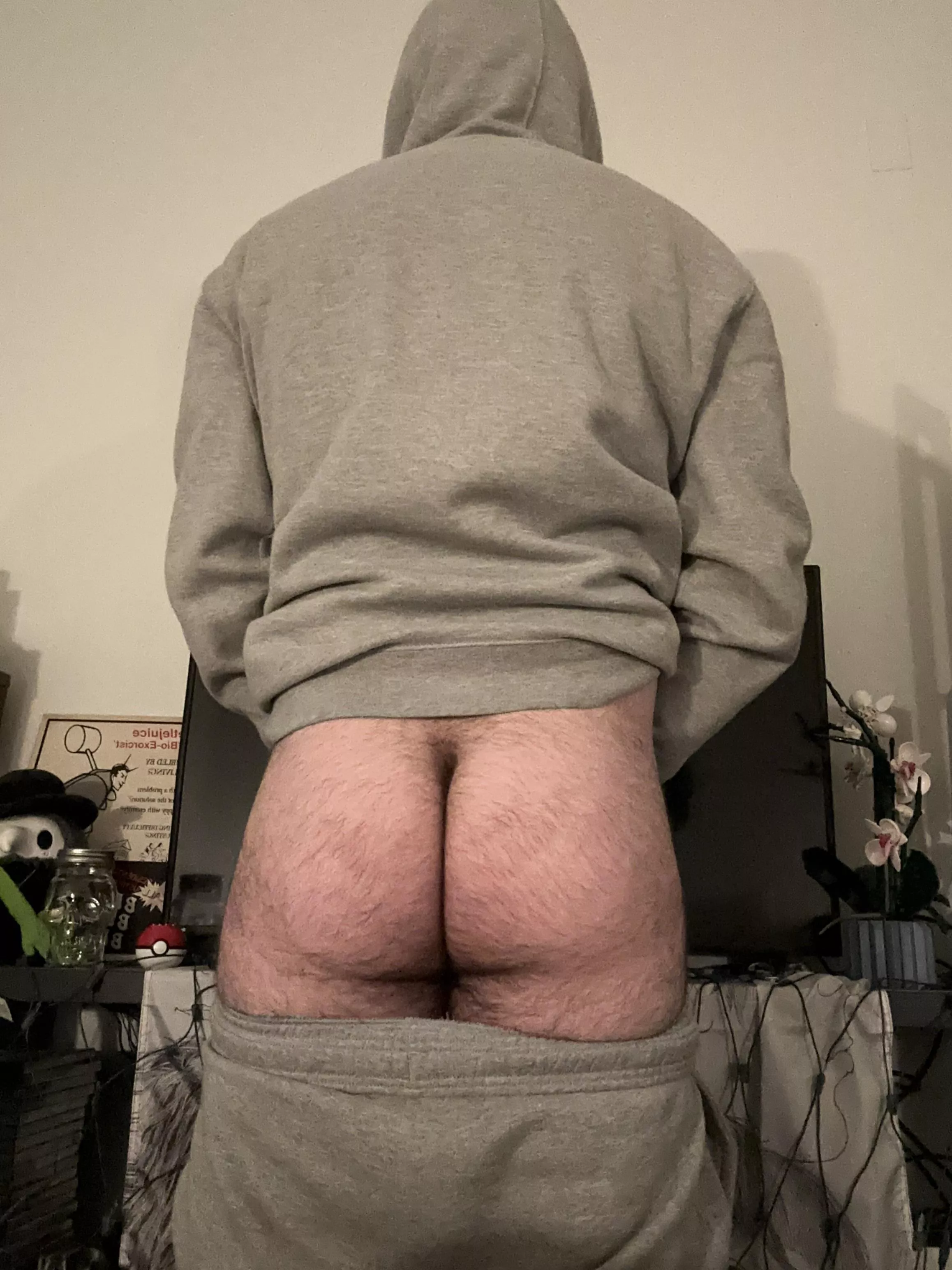 shy hairy butt [21] posted by bilingual_turkey
